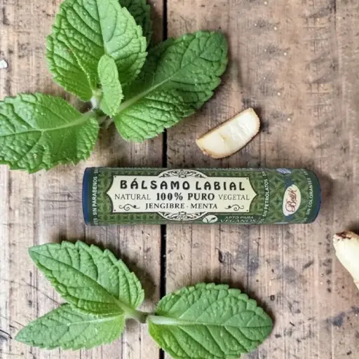 Bálsamo Labial Jengibre Menta Boti-K