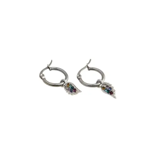 Aros Argolla con Alas y Strass