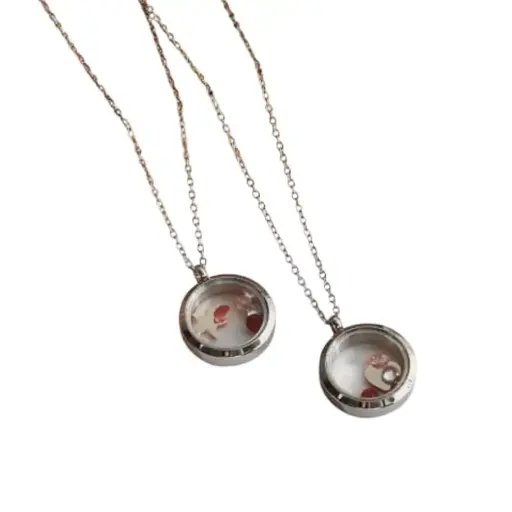 Collar Redondon con Dijes Varios