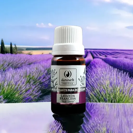 Aceite para Hornillos Lavanda Francesa x10ml