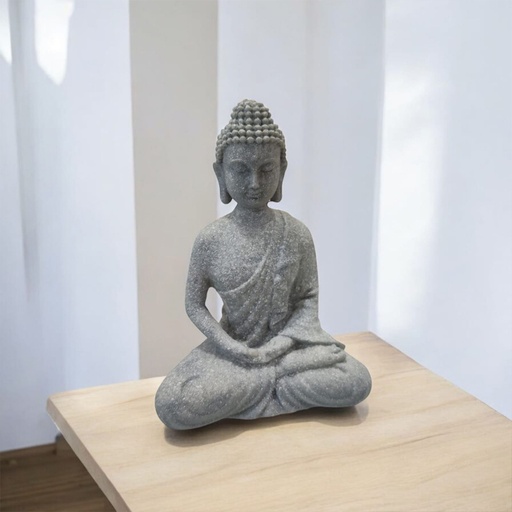 Buda Meditacion Modelo N°4